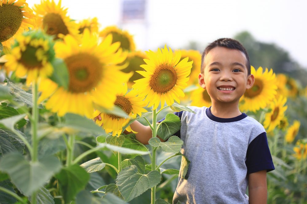 De transitie van groep 2 naar