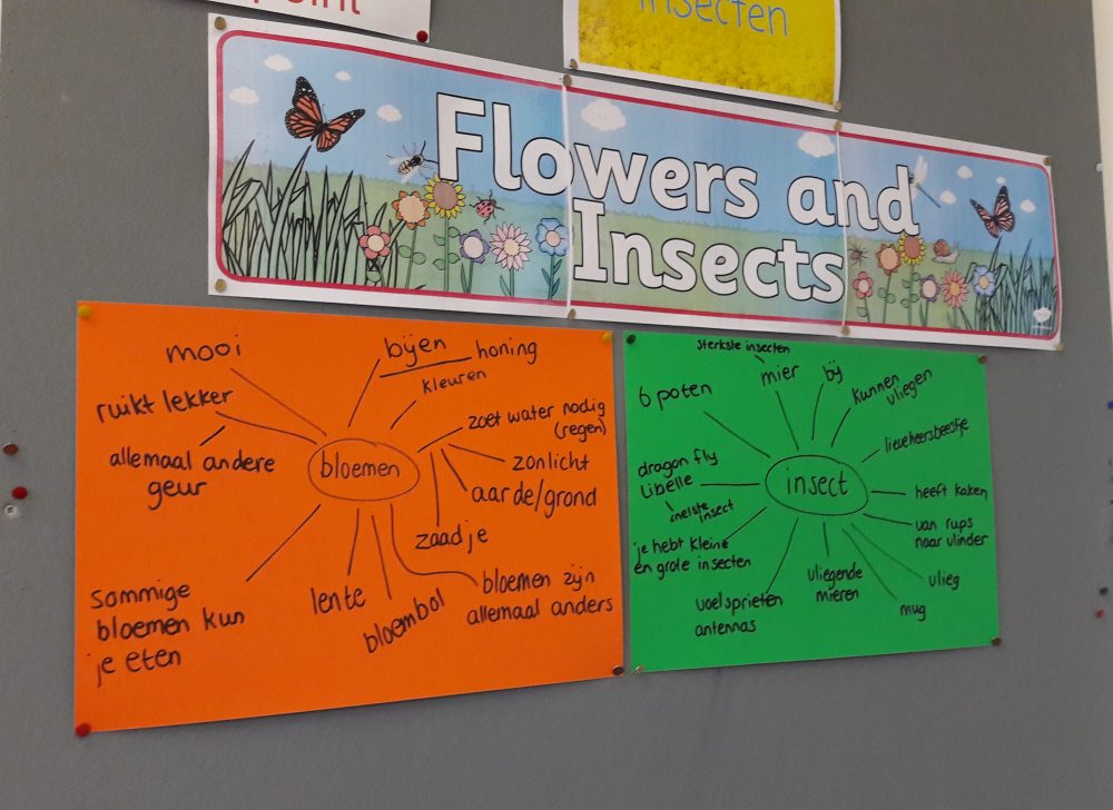 IPC startweek: bloemen en insecten