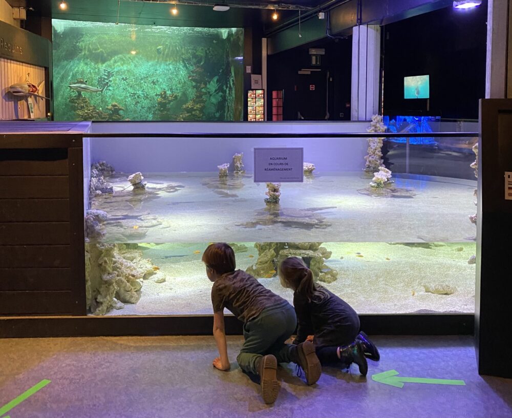 Aquarium de Liège