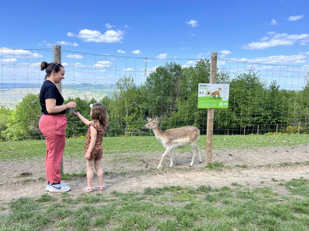 Landal Sonnenberg review