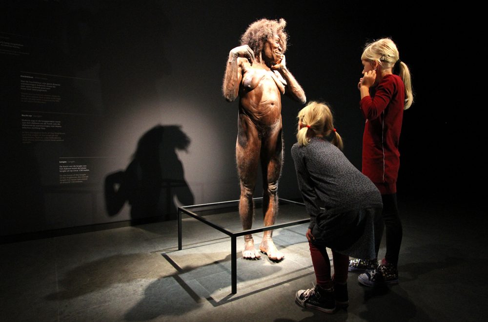 Naturalis, hét museum in Leiden voor jonge bezoekers