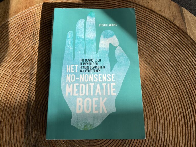 Het no-nonsense meditatie boek