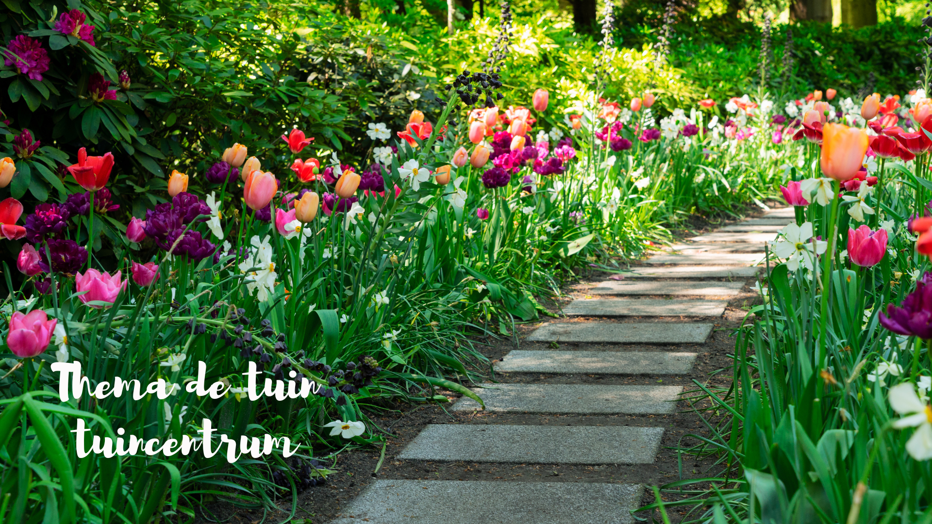 Thema de tuin, tuincentrum, alles groeit