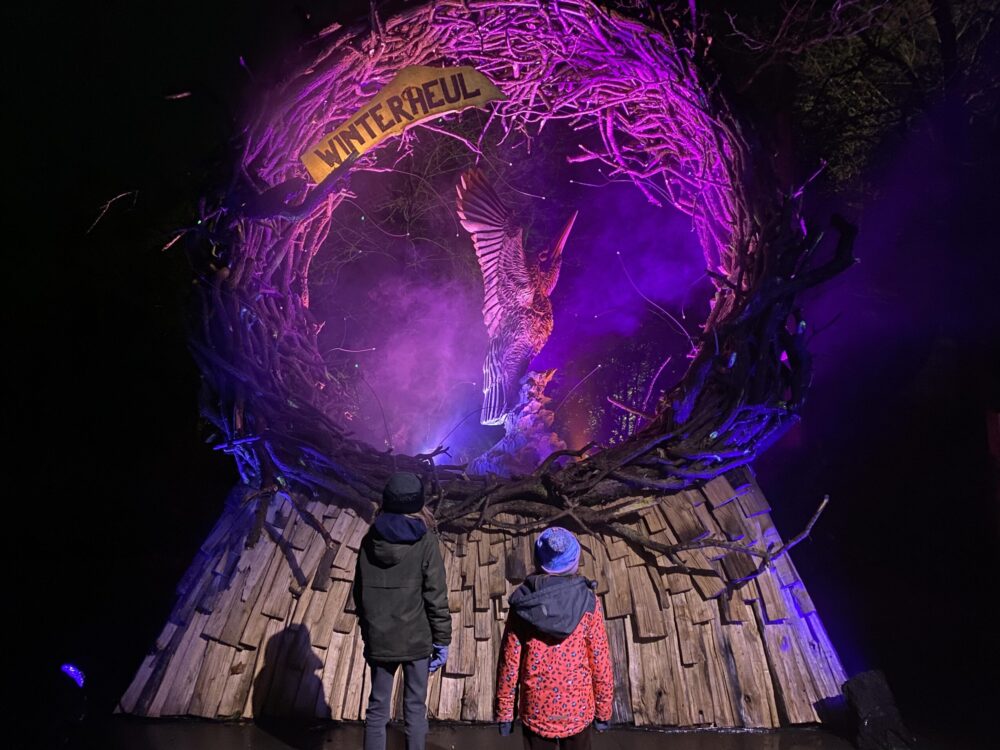 Rustige uitjes kerstvakantie 2024