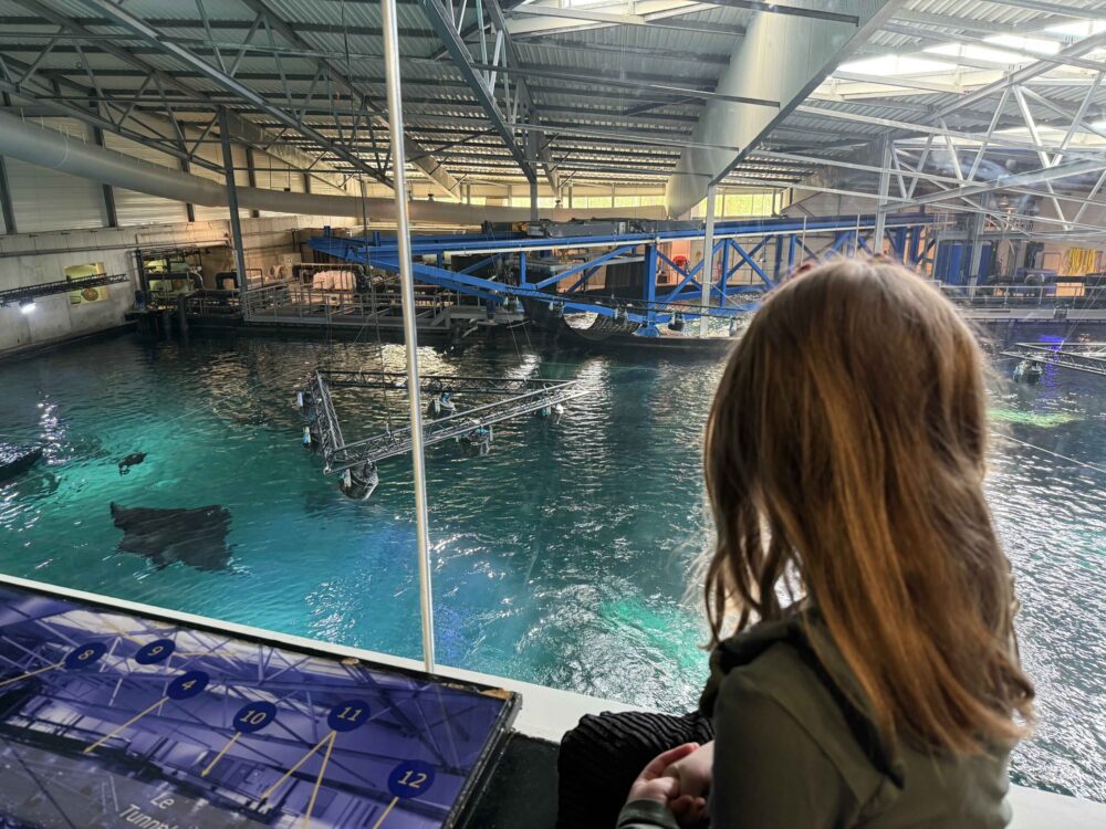 Nausicaá vissen voeren