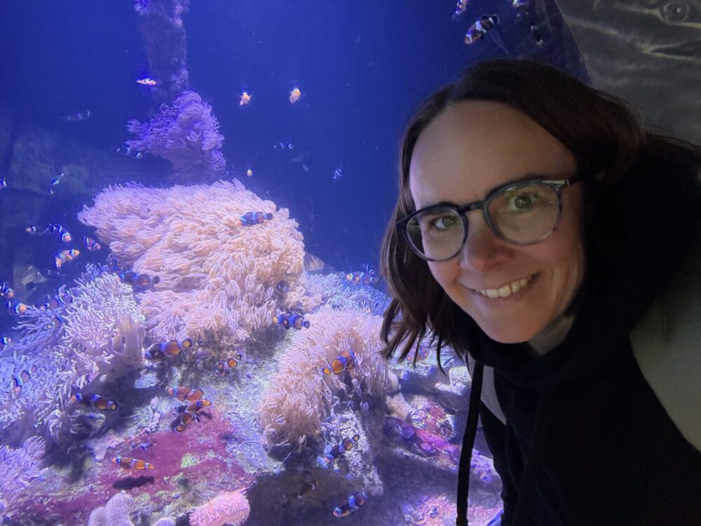 Nausicaá aquarium Nemo