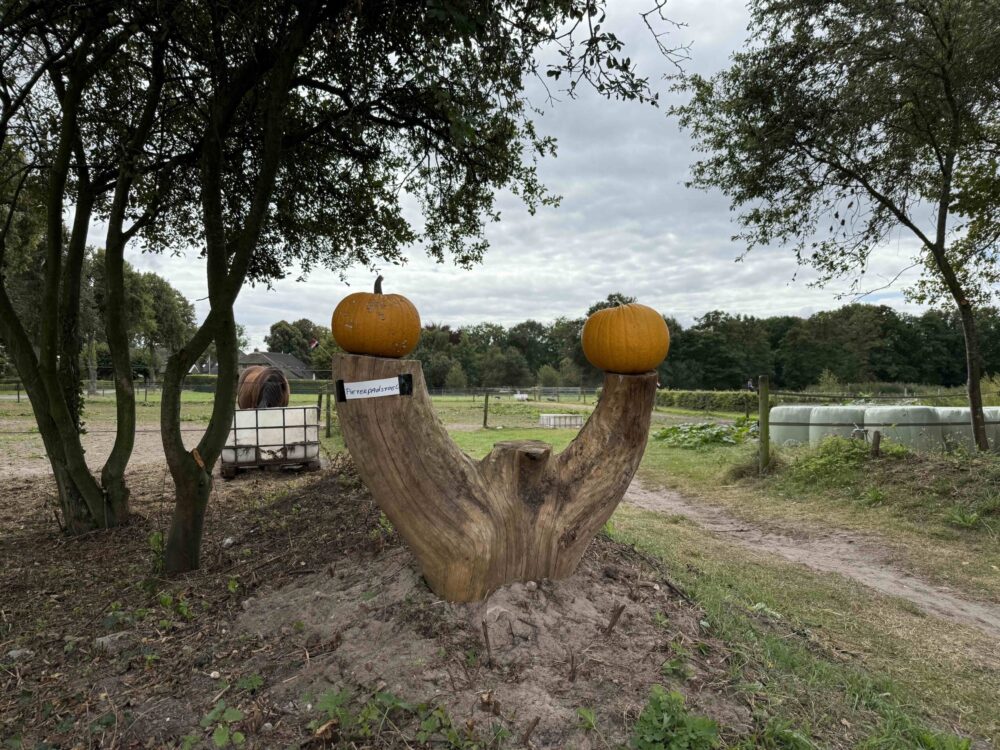 Pieterpad etappe 4 grappige stoel